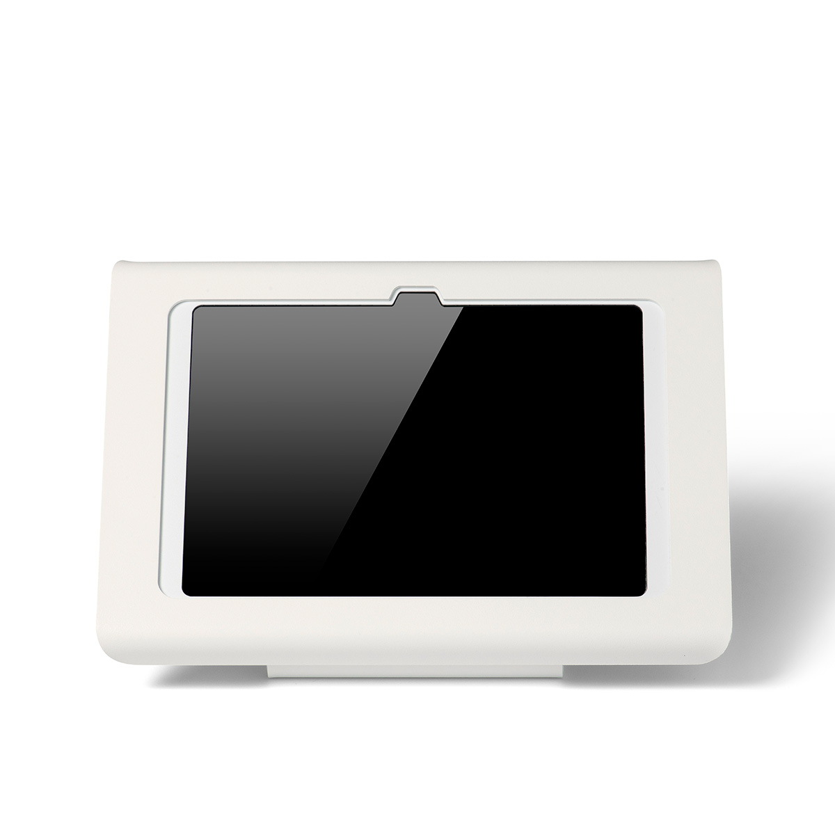 Tabdoq Professional iPad kiosk